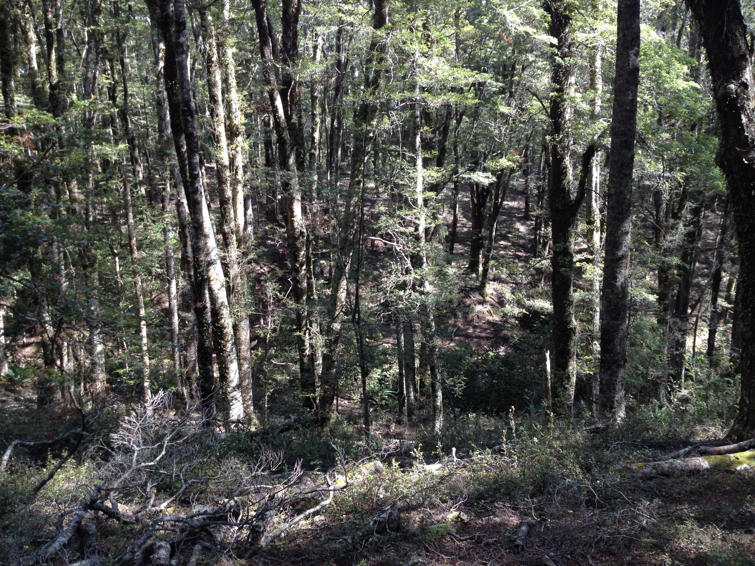 Name:  IMG_0050.jpg
Views: 2516
Size:  1.10 MB