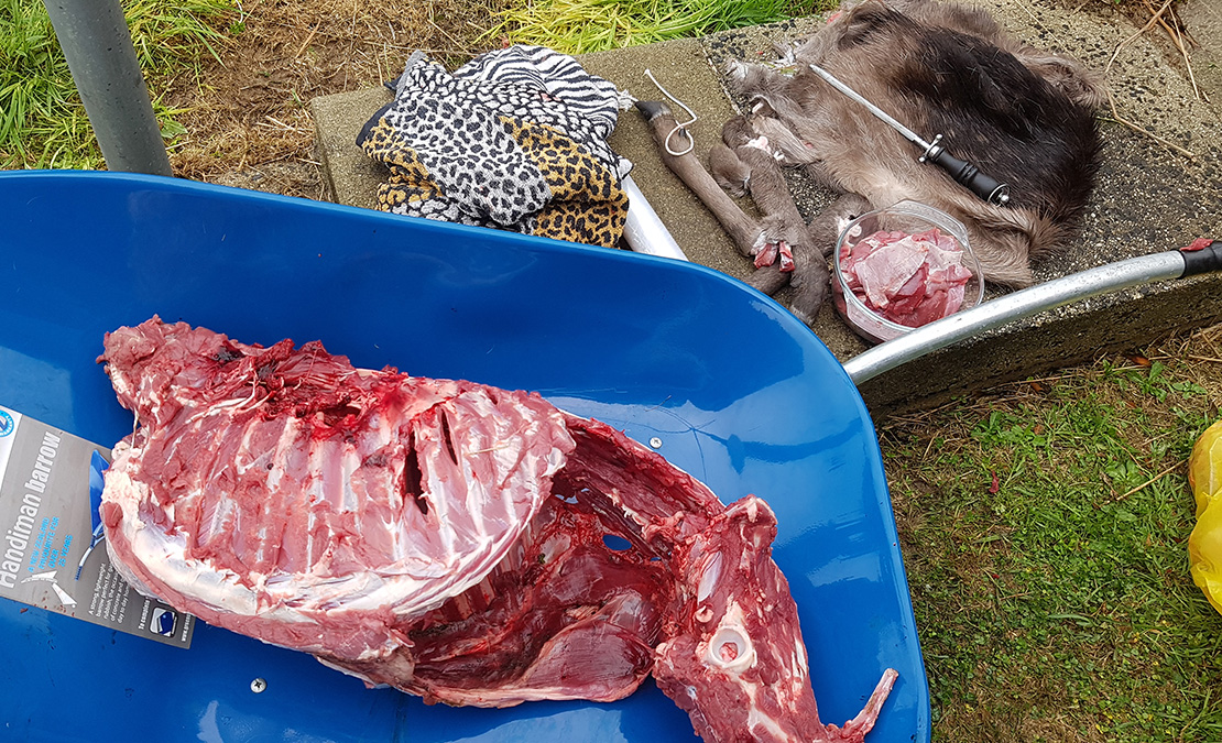 Name:  wheelbarrow butchery.jpg
Views: 799
Size:  527.2 KB