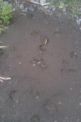 Name:  IMAG0235.jpg
Views: 501
Size:  58.0 KB