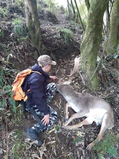 Name:  buck 2.jpg
Views: 414
Size:  76.5 KB