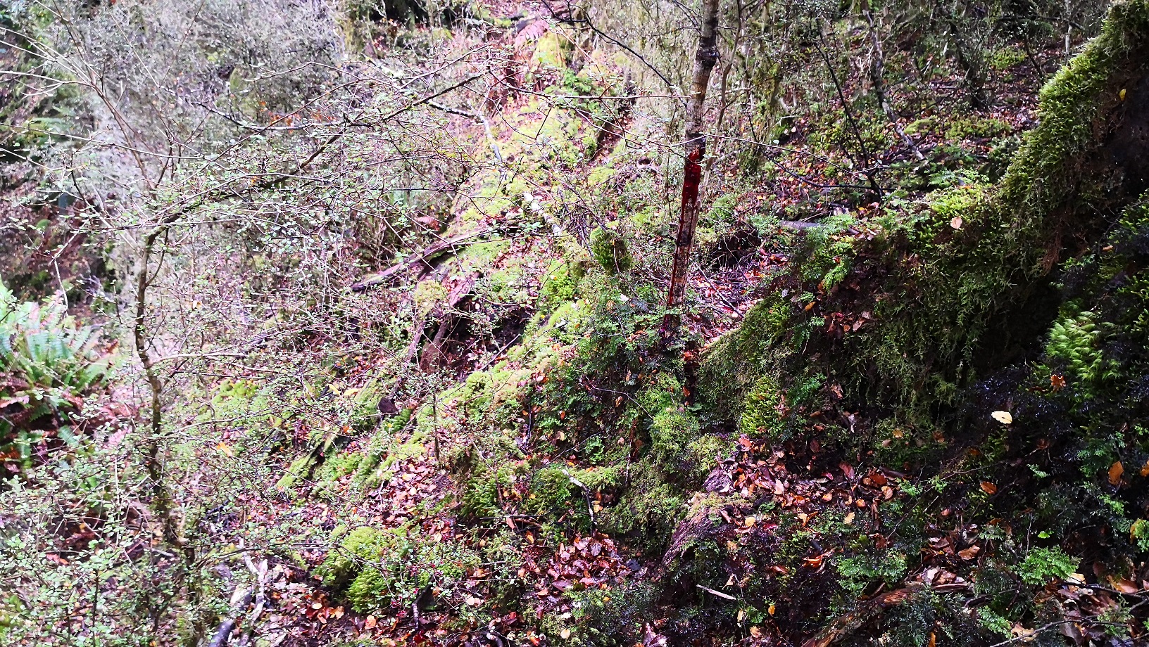Name:  IMG_20210409_112258.jpg
Views: 739
Size:  1.21 MB