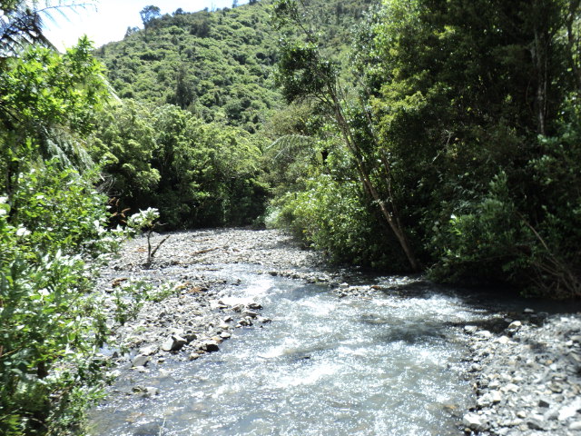 Name:  picture 2616.jpg
Views: 343
Size:  163.9 KB