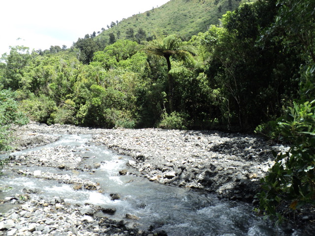 Name:  picture 2617.jpg
Views: 288
Size:  164.6 KB