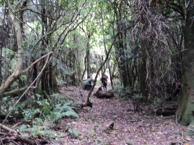 Name:  picture 2619.jpg
Views: 297
Size:  163.6 KB