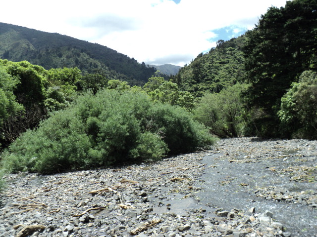 Name:  picture 2623.jpg
Views: 309
Size:  163.4 KB
