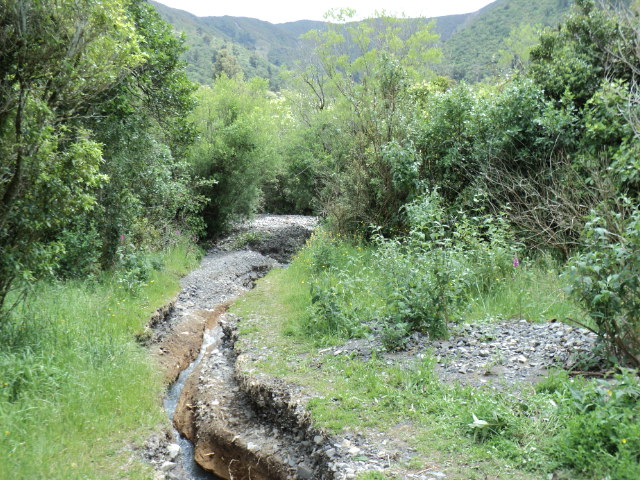 Name:  picture 2625.jpg
Views: 306
Size:  162.1 KB