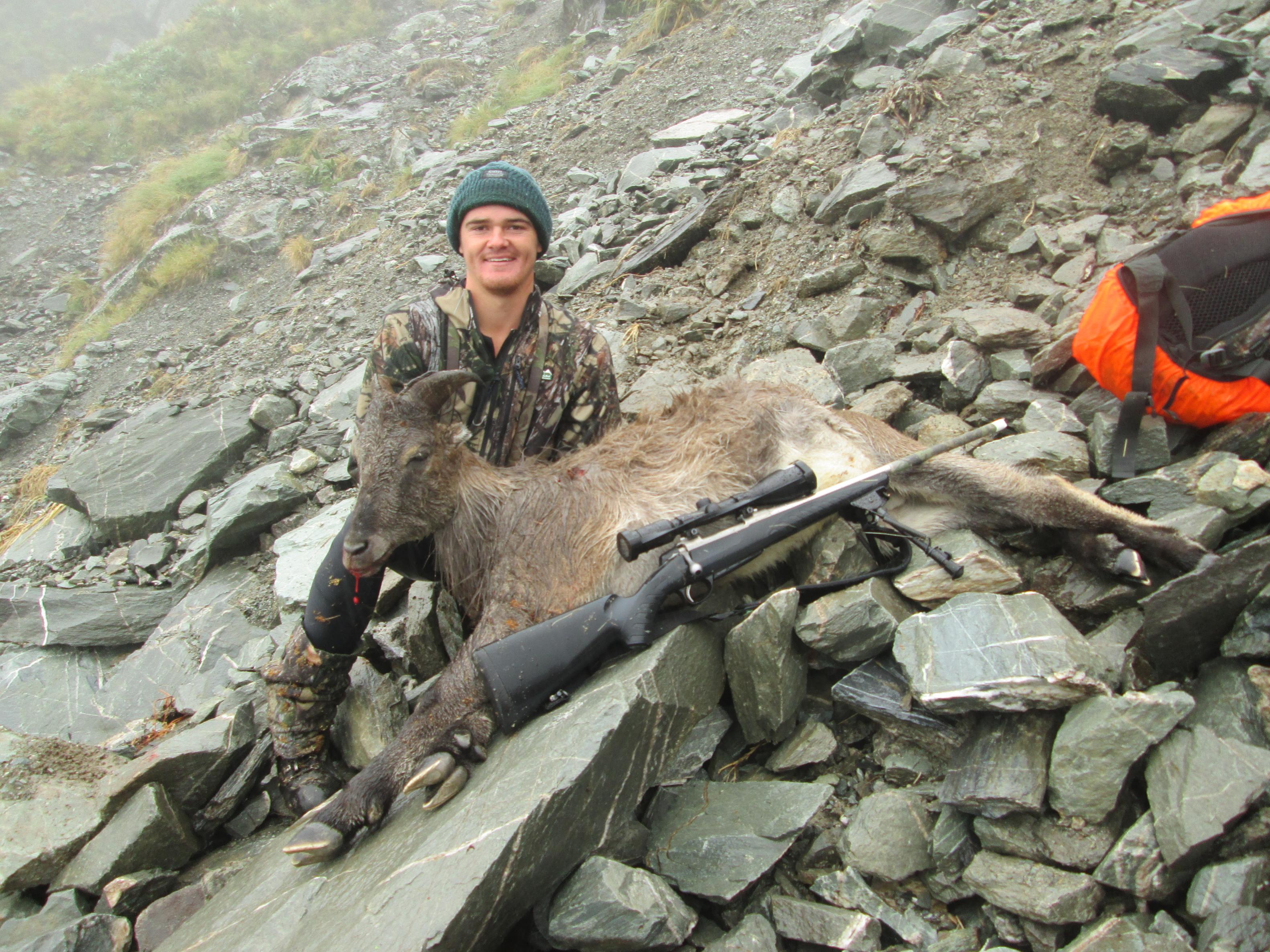 Name:  Patrick bull.jpg
Views: 419
Size:  1.06 MB
