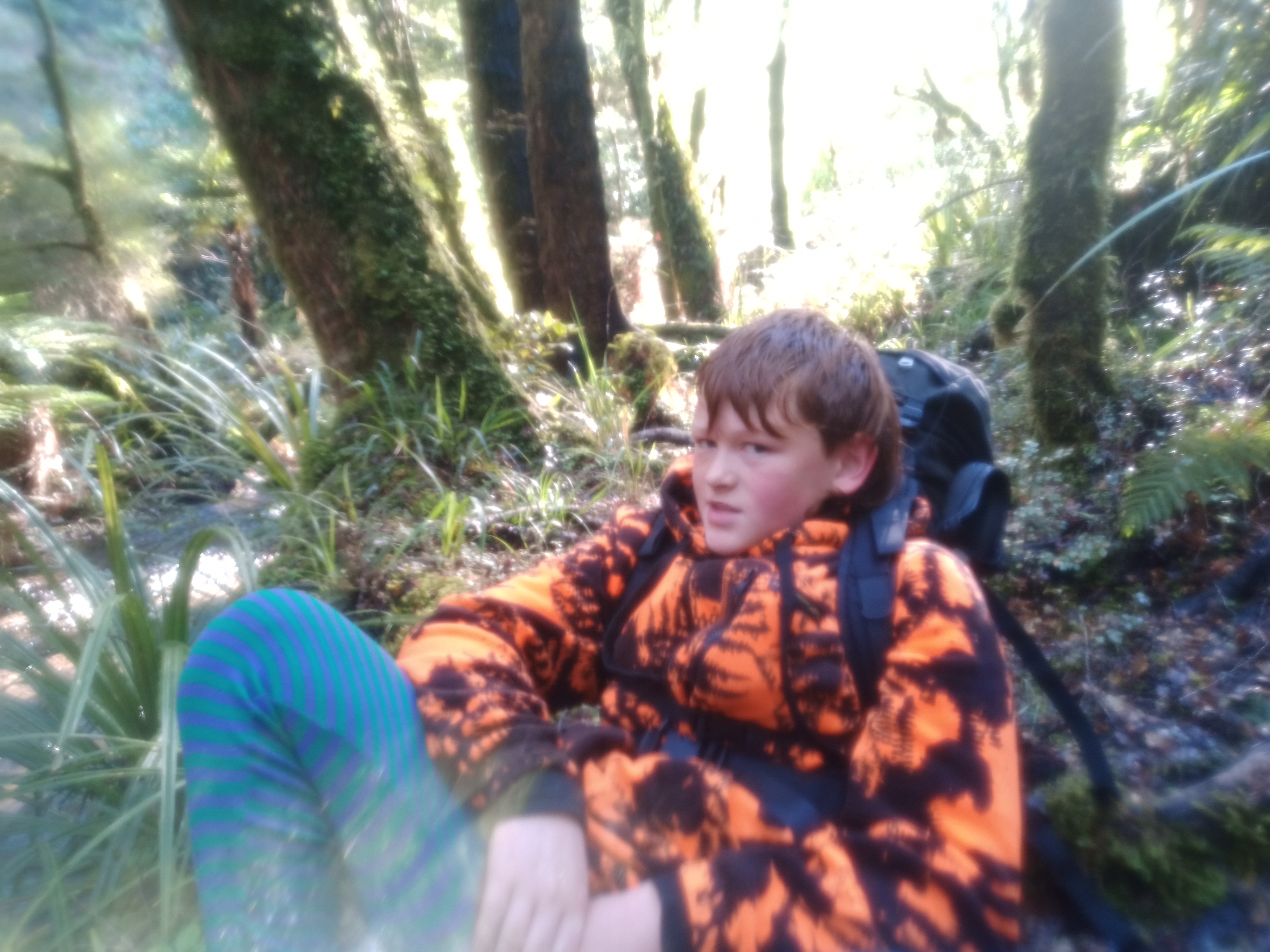 Name:  IMG_20210715_104430_0.jpg
Views: 618
Size:  3.82 MB