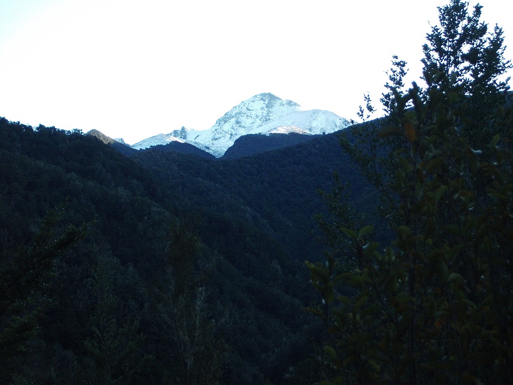 Name:  DSCF2007.JPG
Views: 905
Size:  278.2 KB