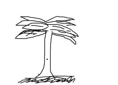 Name:  Punga.jpg
Views: 543
Size:  10.4 KB