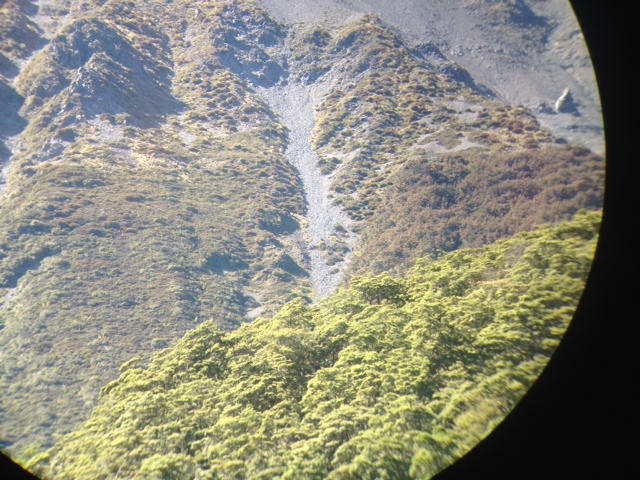 Name:  photo 1.JPG
Views: 651
Size:  191.8 KB
