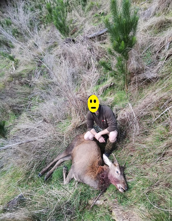 Name:  270m top neck shot 6mmCM.jpg
Views: 405
Size:  422.4 KB