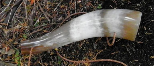 Name:  RCP Horn.jpg
Views: 164
Size:  61.5 KB