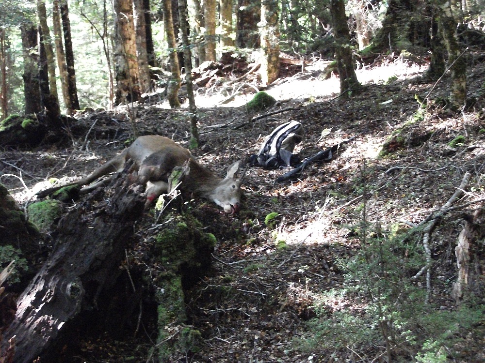 Name:  DSCF2037.JPG
Views: 483
Size:  518.4 KB