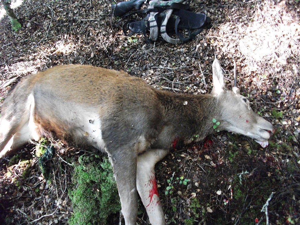 Name:  DSCF2032.JPG
Views: 421
Size:  560.6 KB
