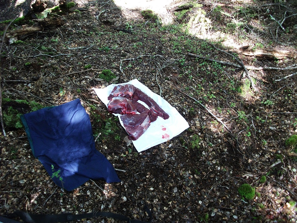 Name:  DSCF2038.JPG
Views: 462
Size:  598.7 KB