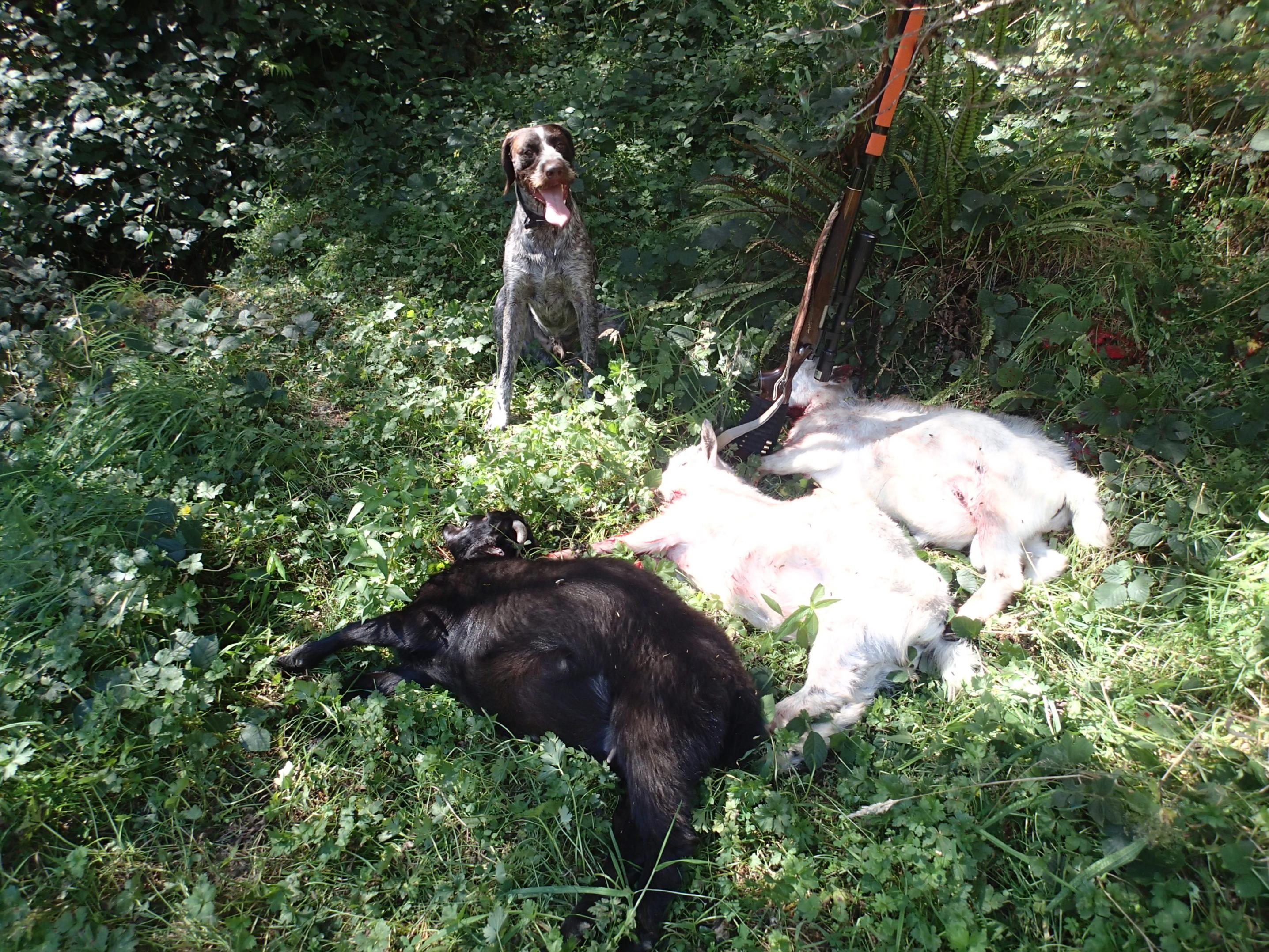 Name:  P3070157.jpg
Views: 187
Size:  1.13 MB