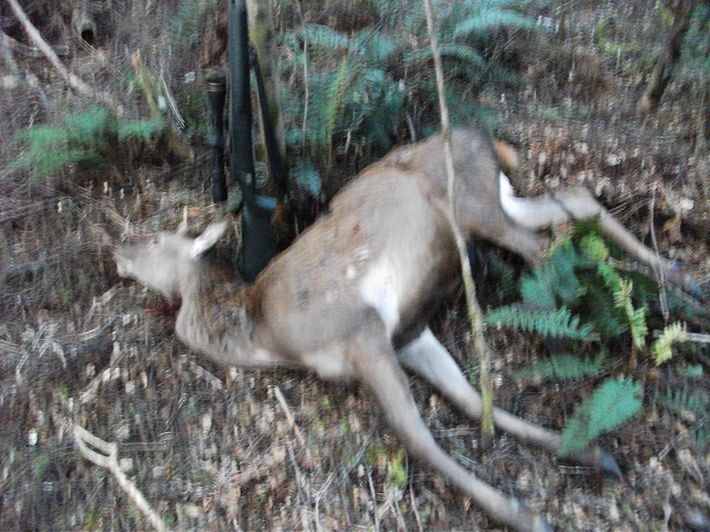 Name:  DSCF2045.JPG
Views: 444
Size:  427.4 KB