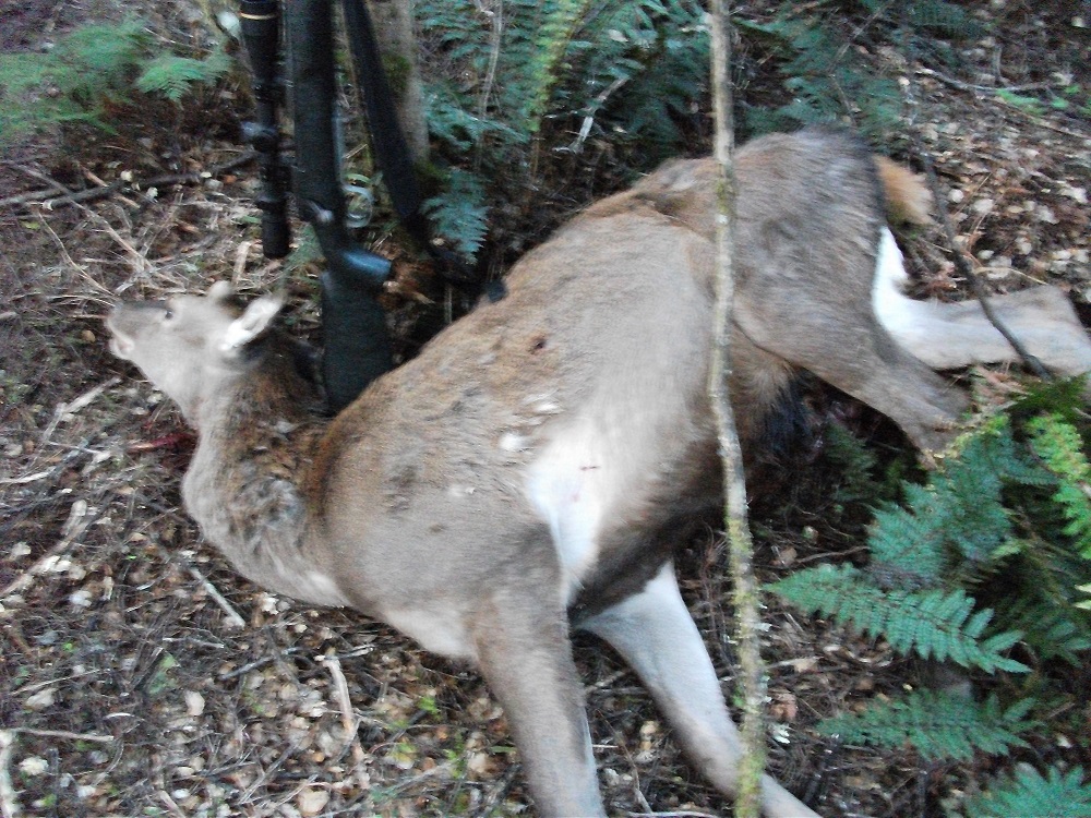 Name:  DSCF2046.JPG
Views: 426
Size:  443.9 KB