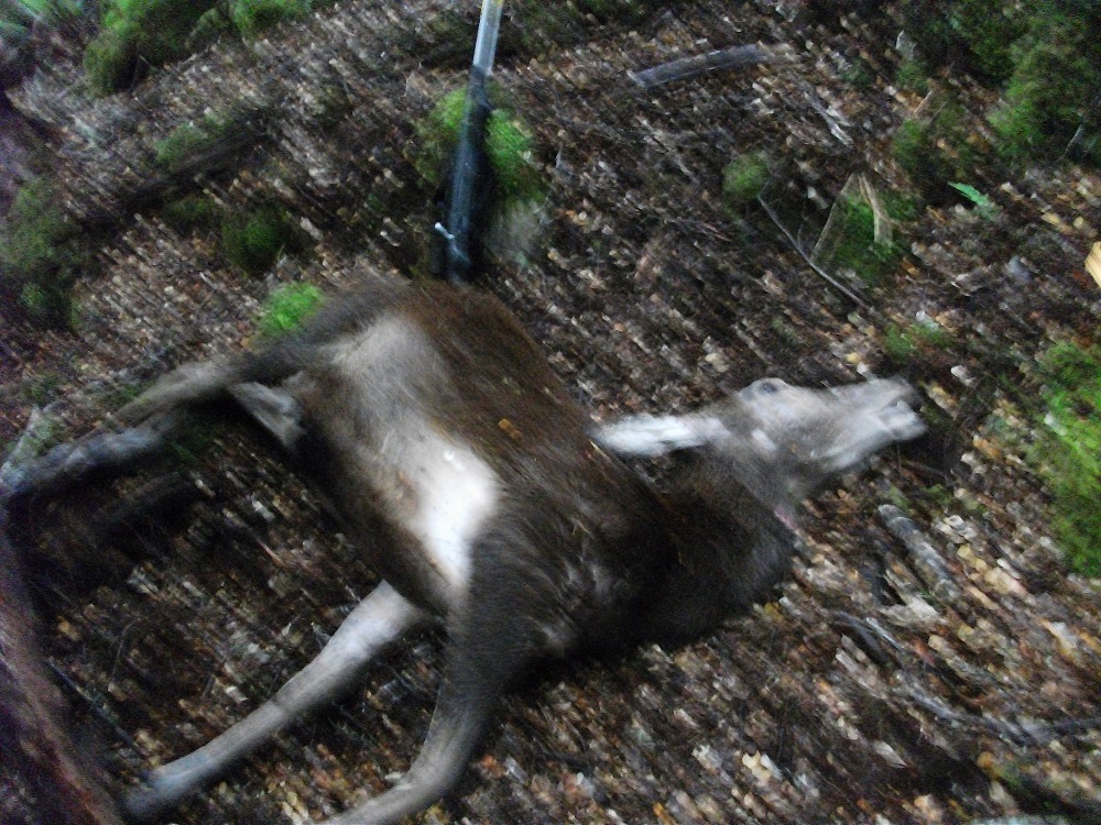 Name:  DSCF2050.JPG
Views: 657
Size:  428.6 KB