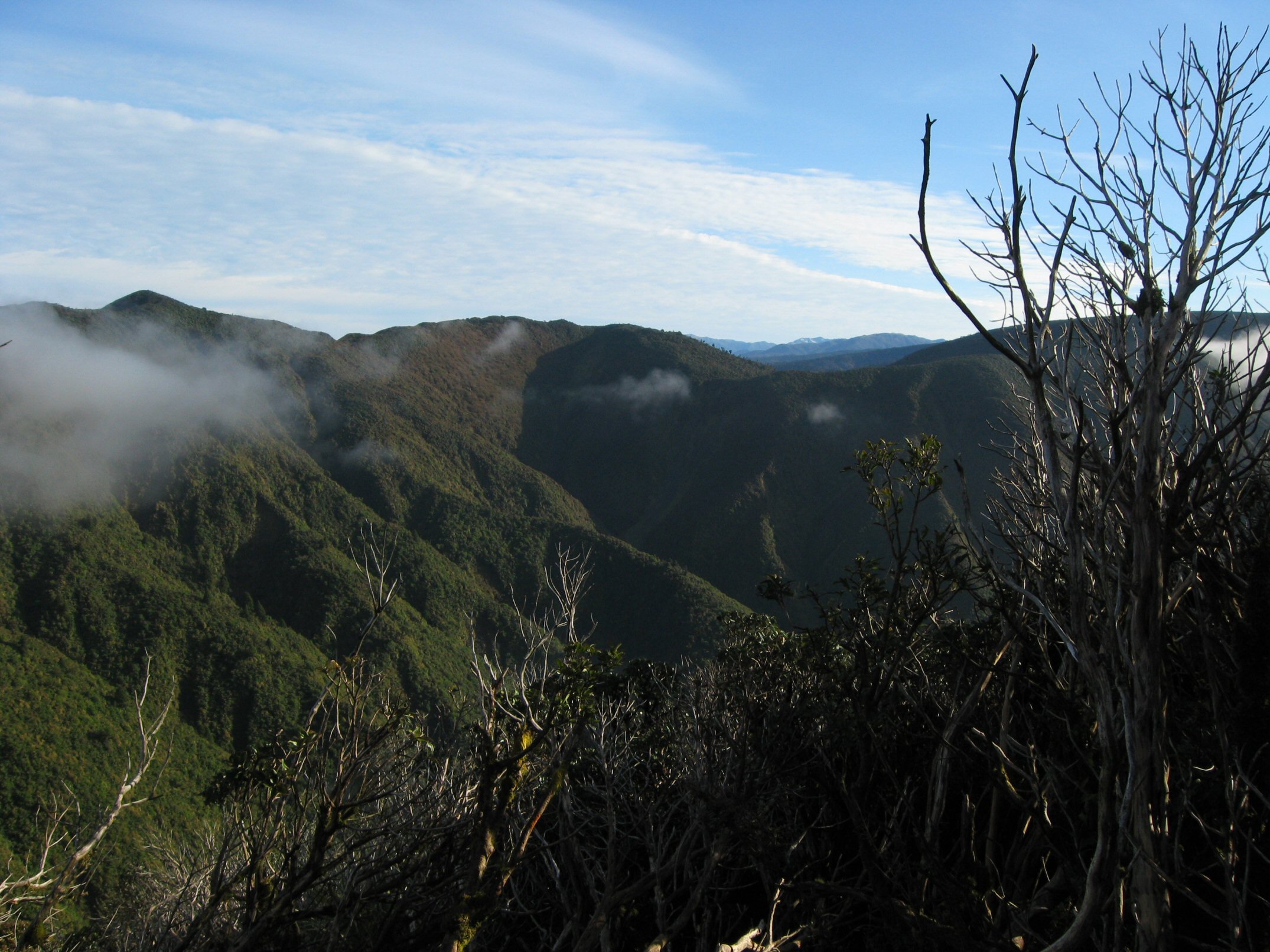 Name:  calm conditions in the valley.jpg
Views: 392
Size:  565.1 KB