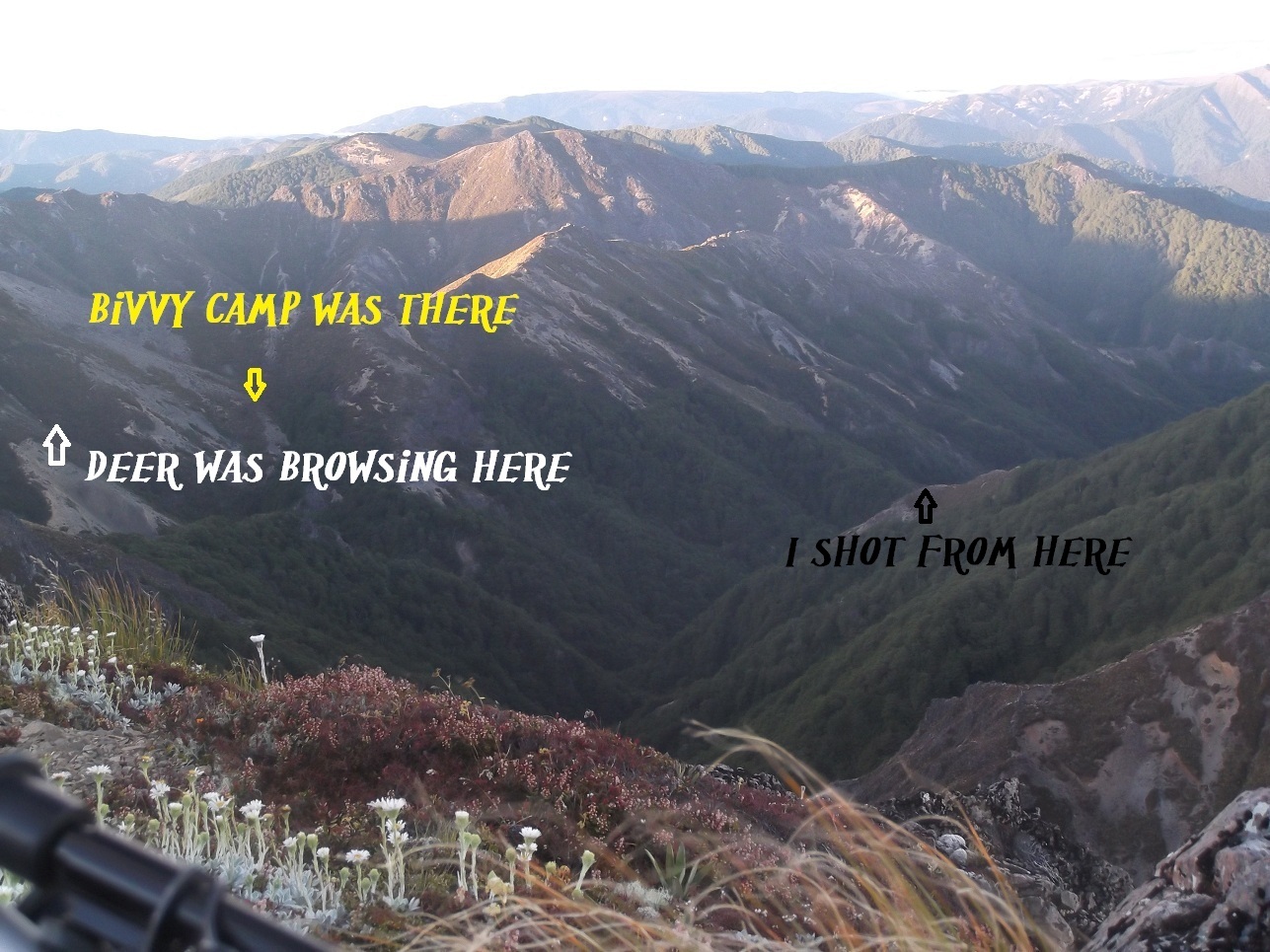 Name:  shot from here.jpg
Views: 1277
Size:  472.1 KB