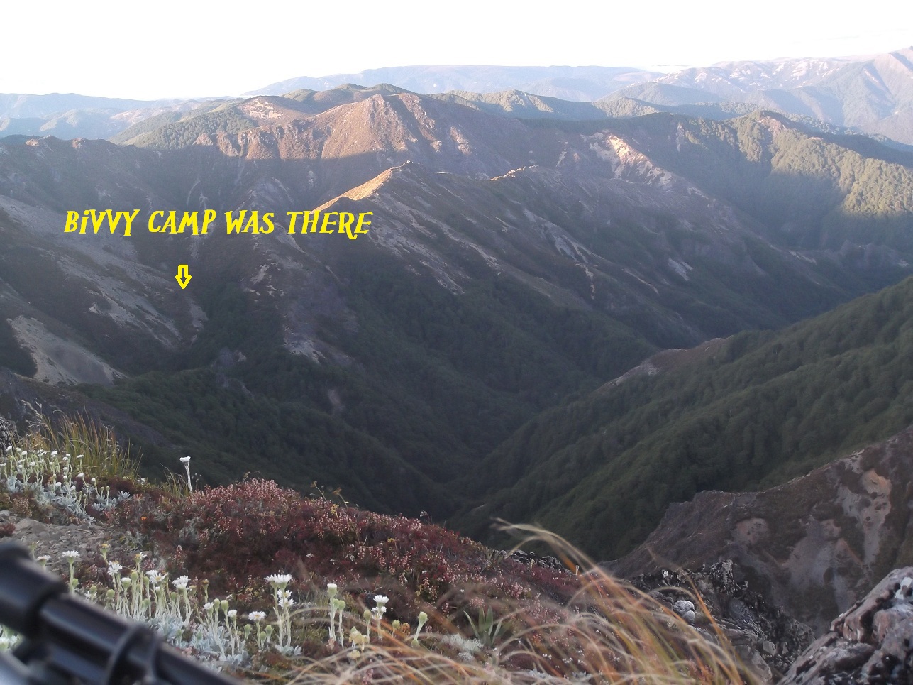 Name:  DSCF2449.JPG
Views: 934
Size:  458.1 KB