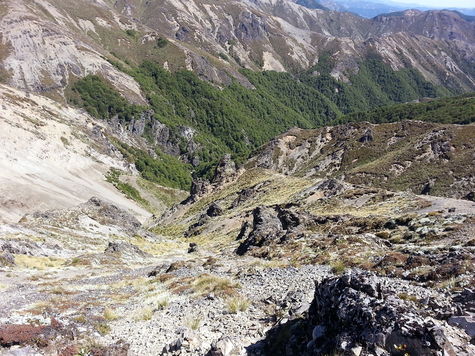Name:  20140101_151620.jpg
Views: 911
Size:  520.4 KB