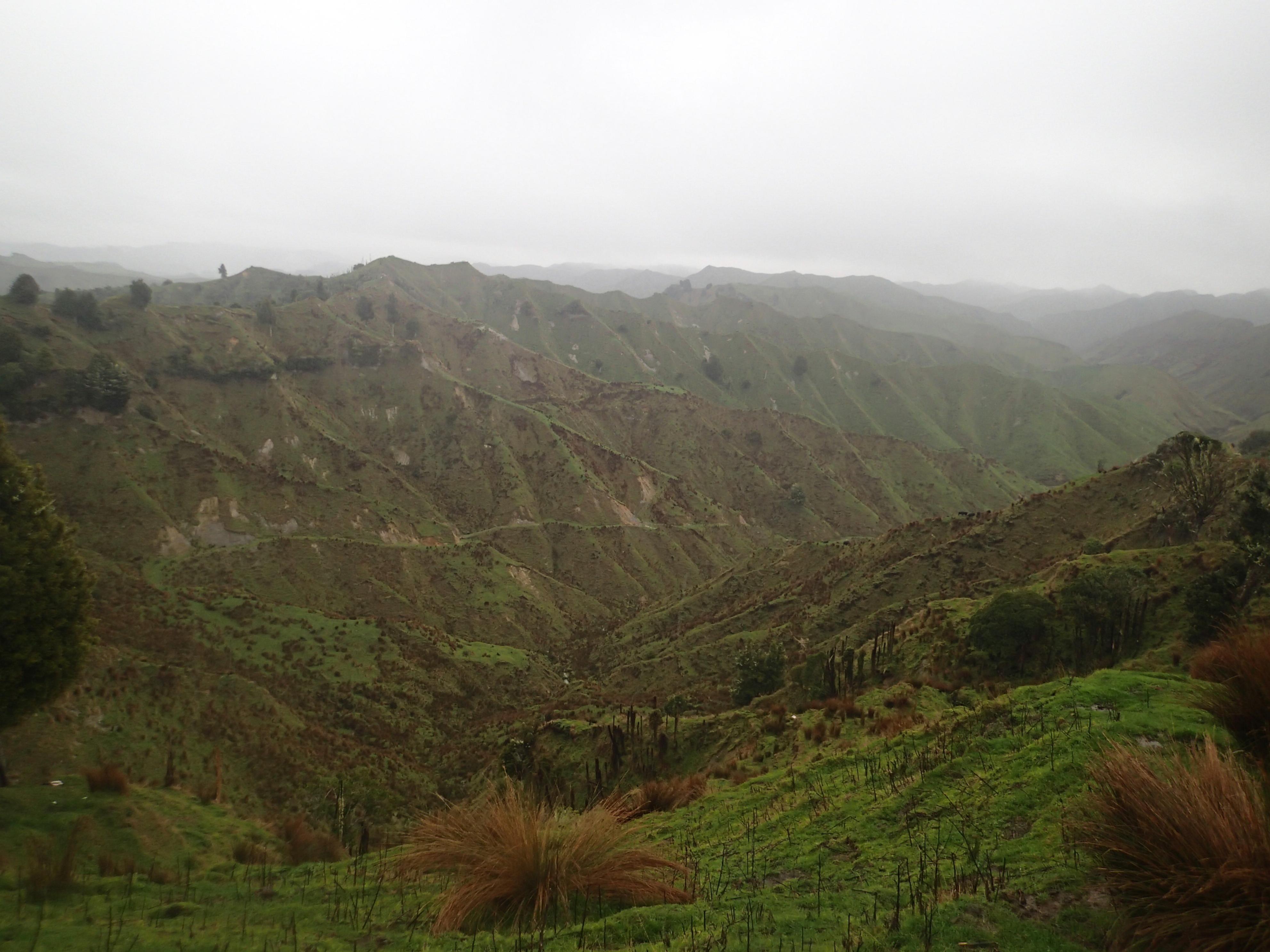Name:  P6180277.jpg
Views: 753
Size:  803.0 KB