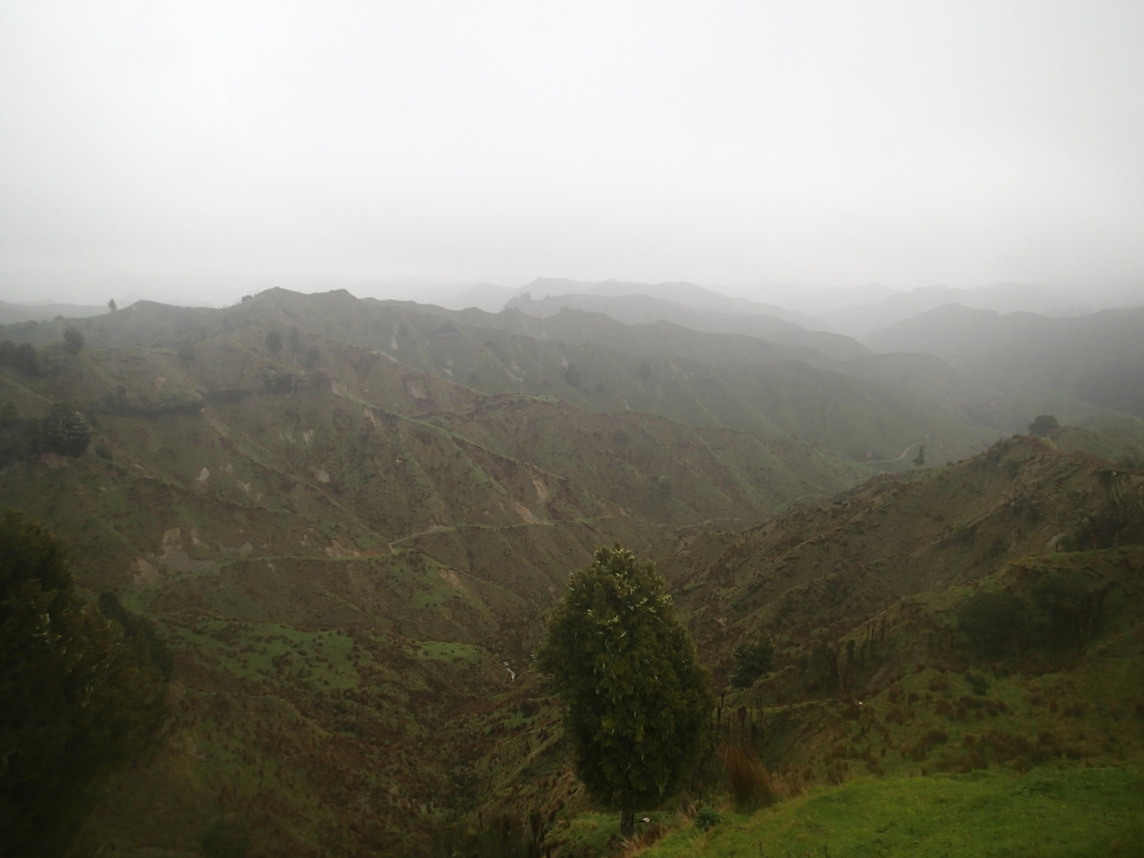 Name:  P6180279.jpg
Views: 729
Size:  578.2 KB
