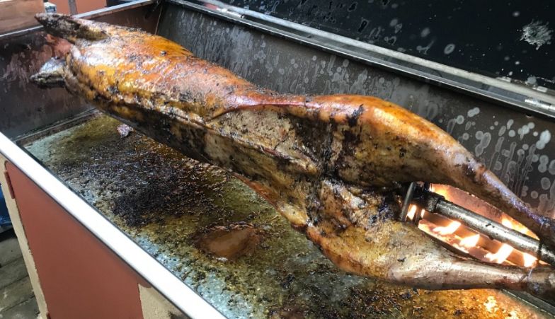 Name:  Bach 30th Anniversary stuffed Whole Fallow on Spit SML.jpg
Views: 1019
Size:  87.1 KB