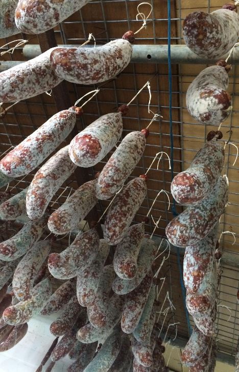 Name:  Salami Fest Reaqdy to go & make way for the new Sml.jpg
Views: 289
Size:  94.1 KB
