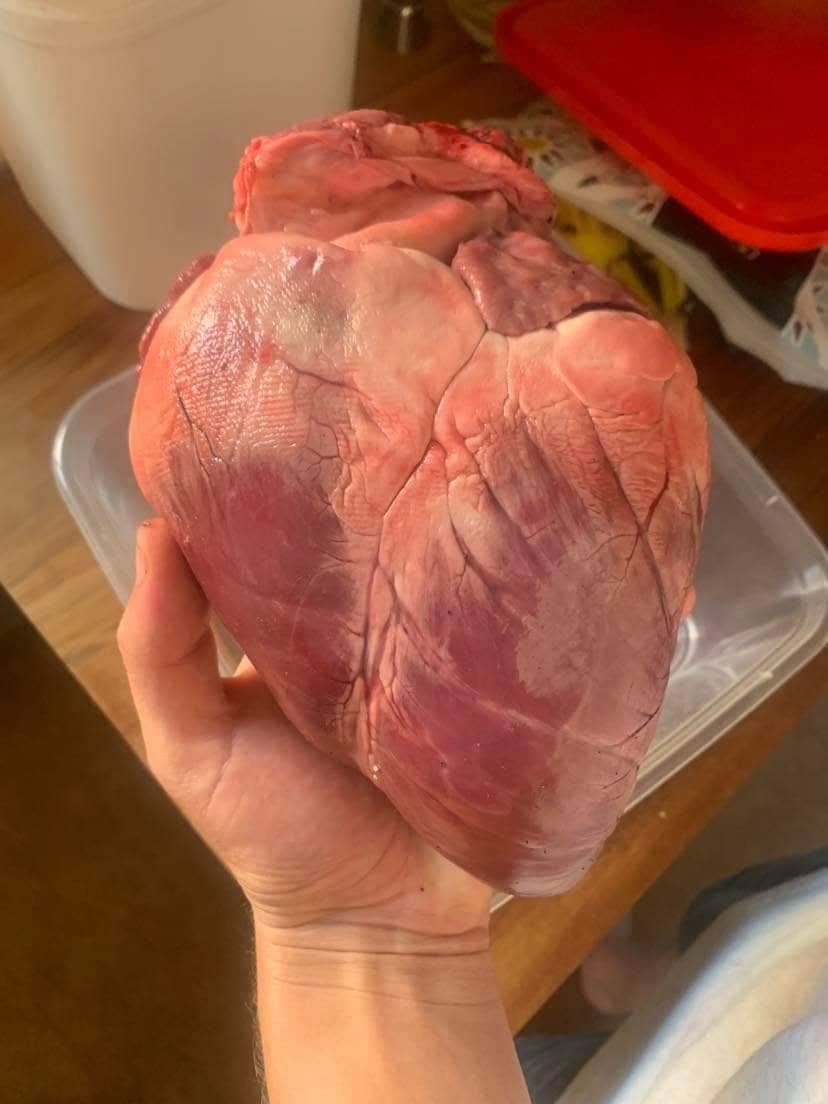 Name:  heart.jpeg
Views: 527
Size:  56.5 KB