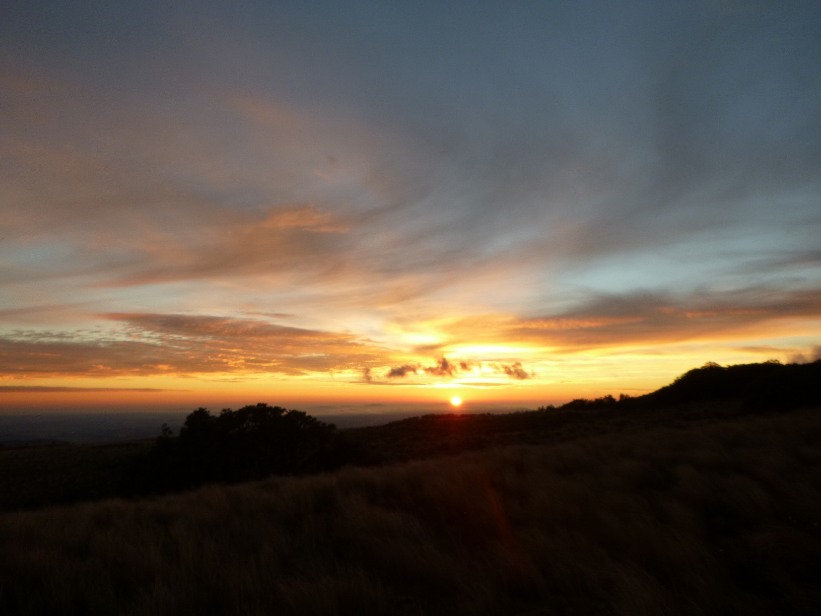 Name:  Ruahines dec 2013 043.jpg
Views: 391
Size:  236.2 KB
