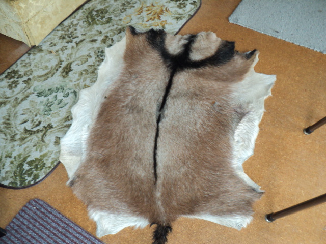 Name:  picture 2910.jpg
Views: 309
Size:  162.9 KB