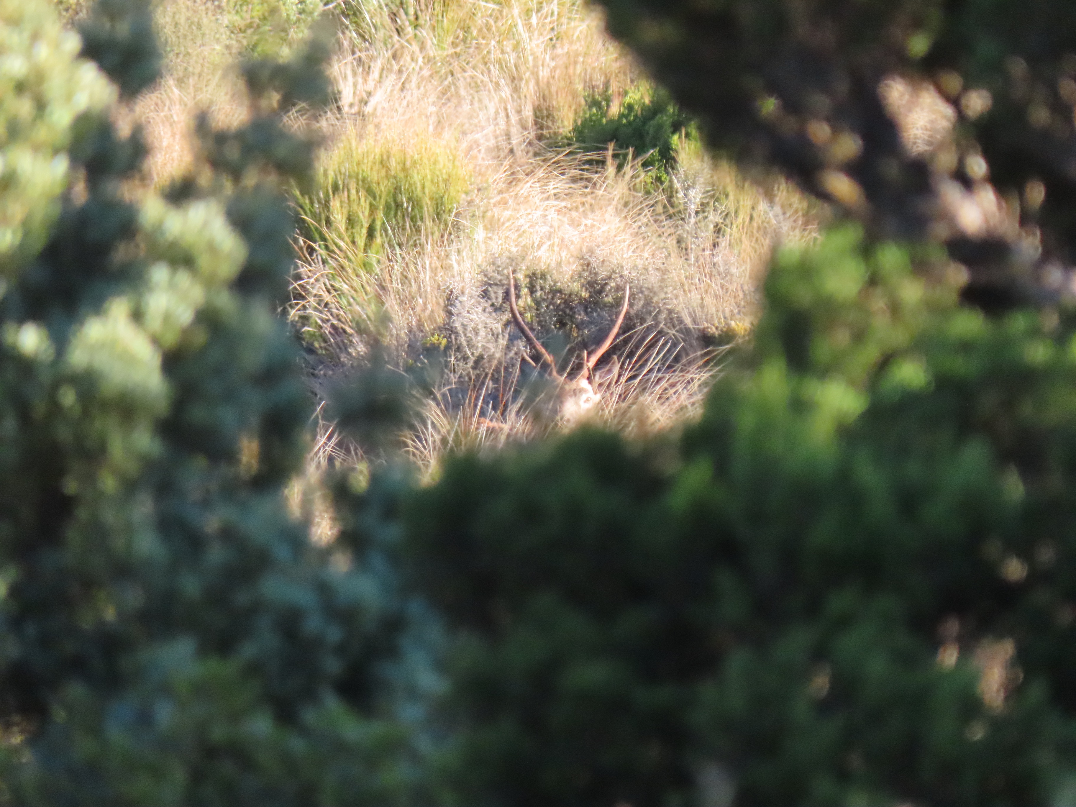 Name:  roar 22 061.JPG
Views: 943
Size:  1.99 MB