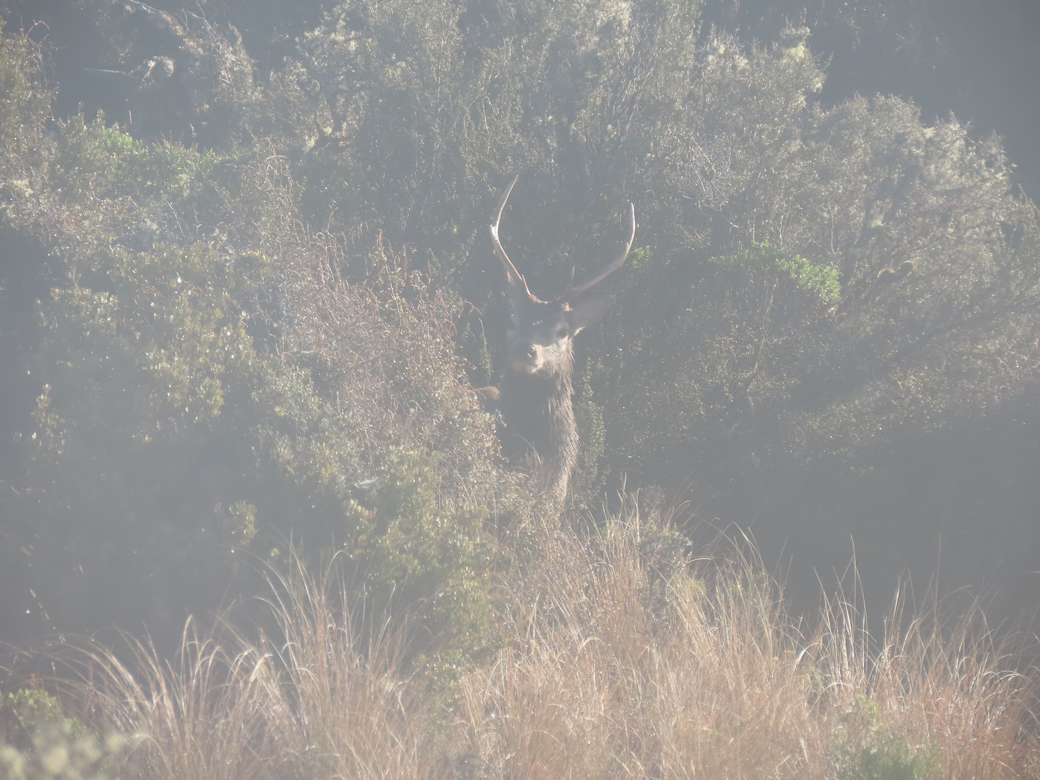 Name:  roar 22 063.JPG
Views: 950
Size:  1.84 MB