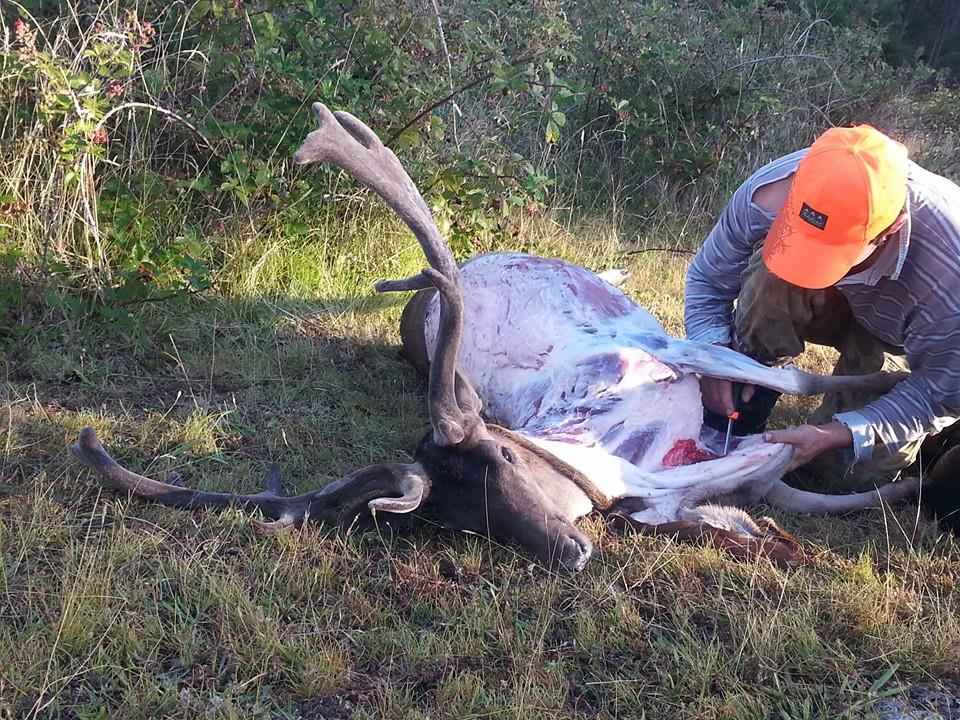 Name:  Caping the black velvet buck Jan 14.jpg
Views: 309
Size:  200.6 KB