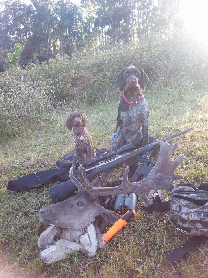 Name:  Ellie and Hunter with the black velvet buck Jan 14.jpg
Views: 306
Size:  206.9 KB