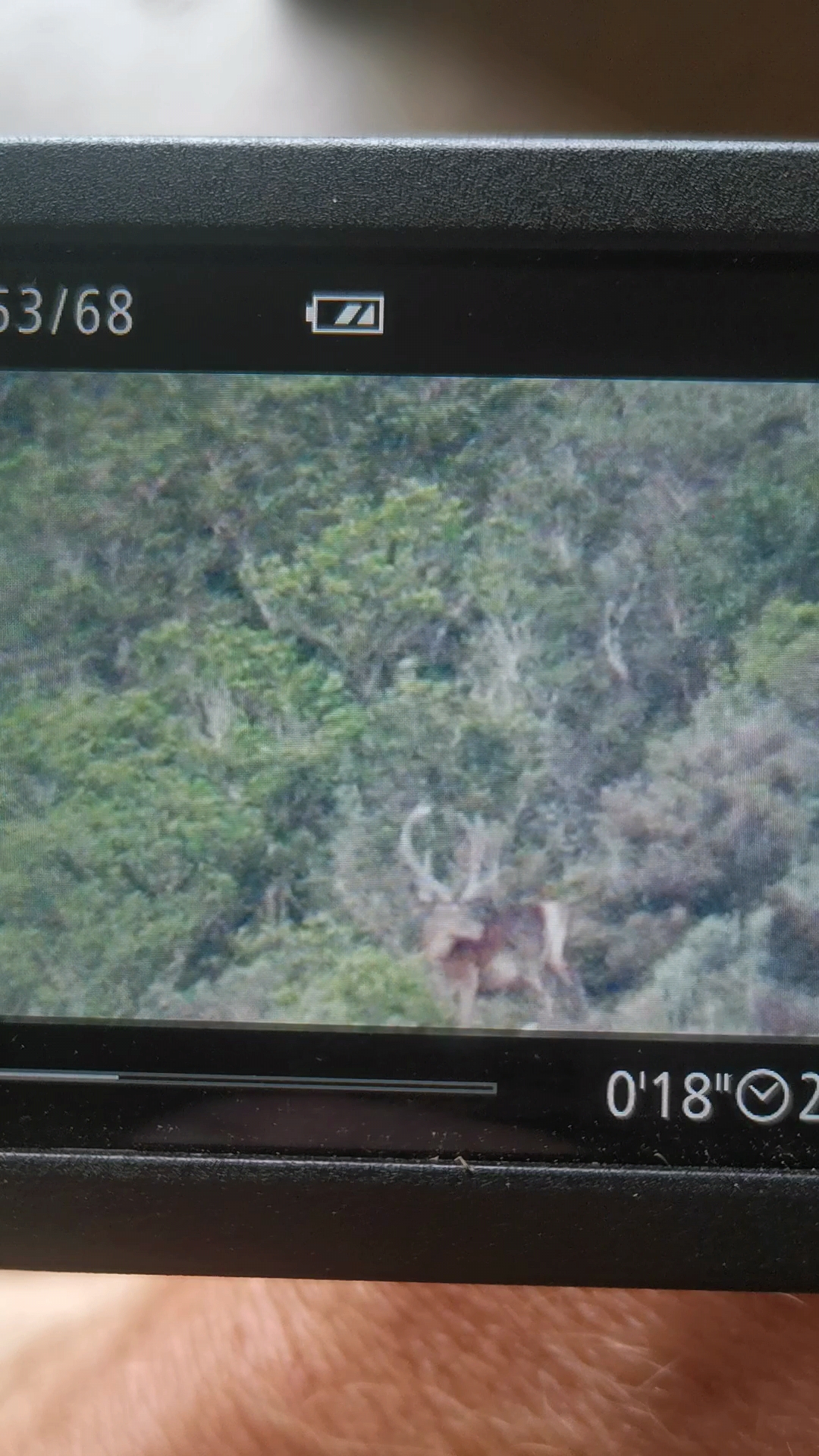 Name:  Videoframe_20220624_110425_com.huawei.himovie.overseas.jpg
Views: 666
Size:  1.23 MB