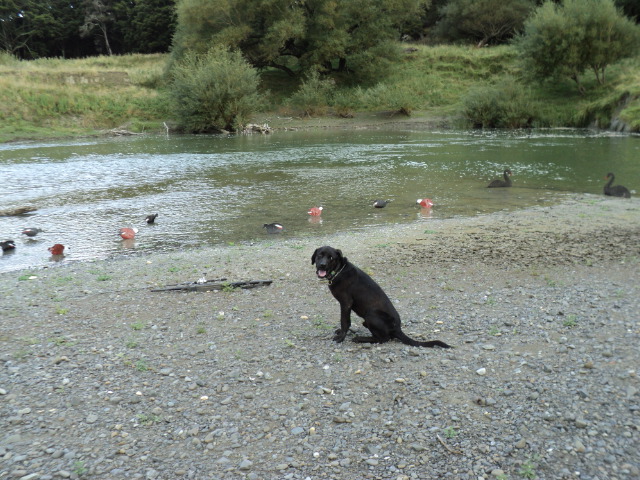 Name:  picture 3062.jpg
Views: 323
Size:  163.6 KB