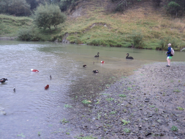 Name:  picture 3067.jpg
Views: 302
Size:  164.8 KB