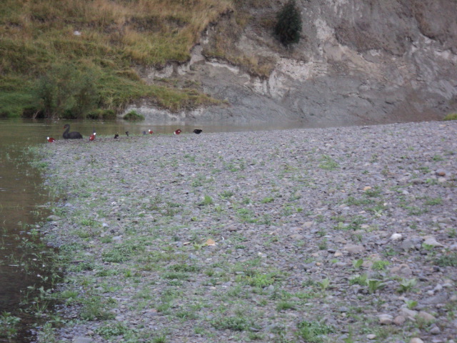 Name:  picture 3078.jpg
Views: 208
Size:  164.2 KB