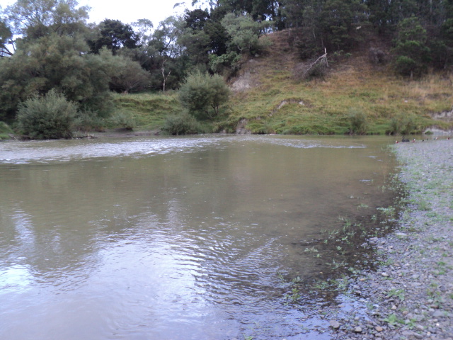 Name:  picture 3079.jpg
Views: 184
Size:  162.8 KB