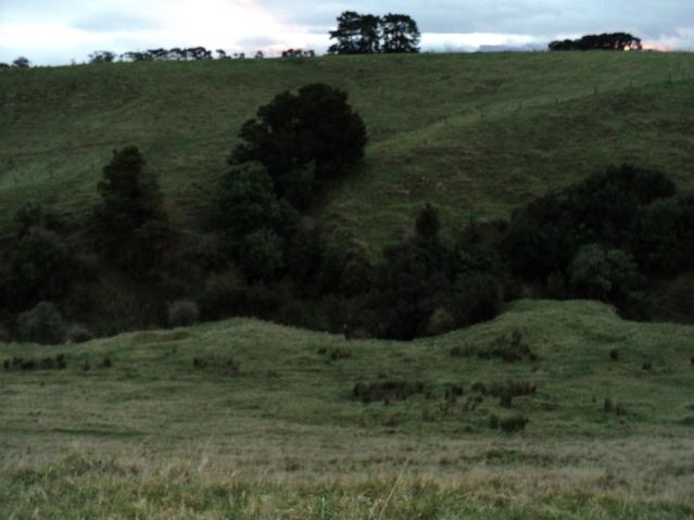 Name:  Picture 040.jpg
Views: 490
Size:  35.2 KB