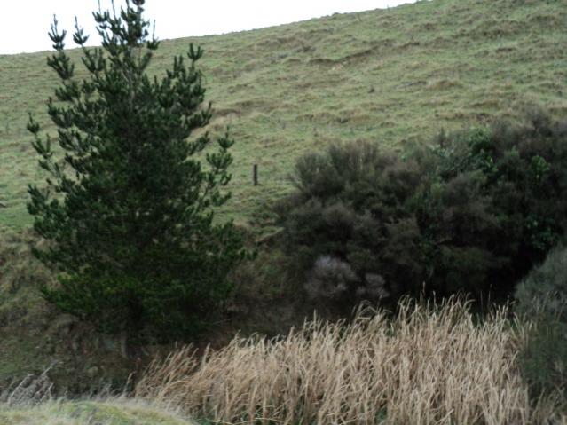 Name:  Picture 034.jpg
Views: 432
Size:  51.6 KB