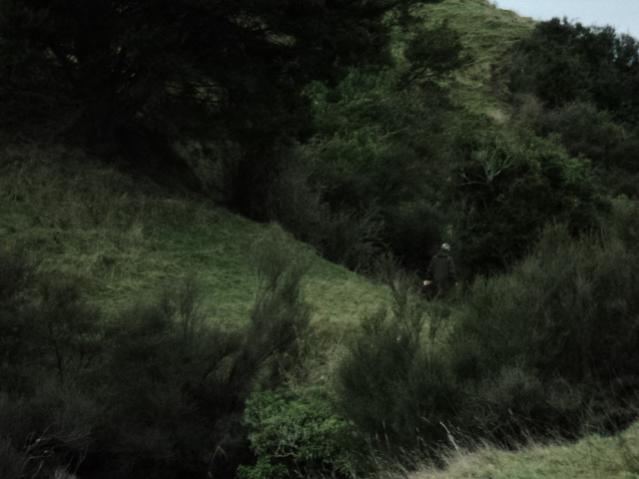 Name:  Picture 036.jpg
Views: 416
Size:  32.7 KB