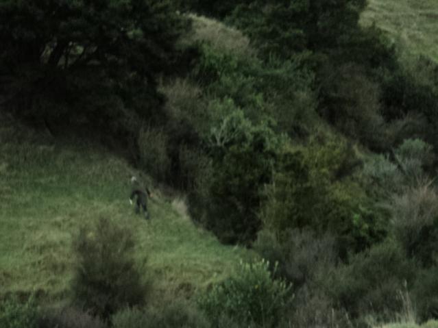 Name:  Picture 037.jpg
Views: 466
Size:  32.3 KB