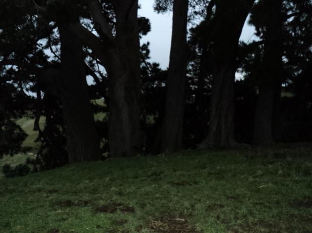 Name:  Picture 042.jpg
Views: 418
Size:  34.5 KB