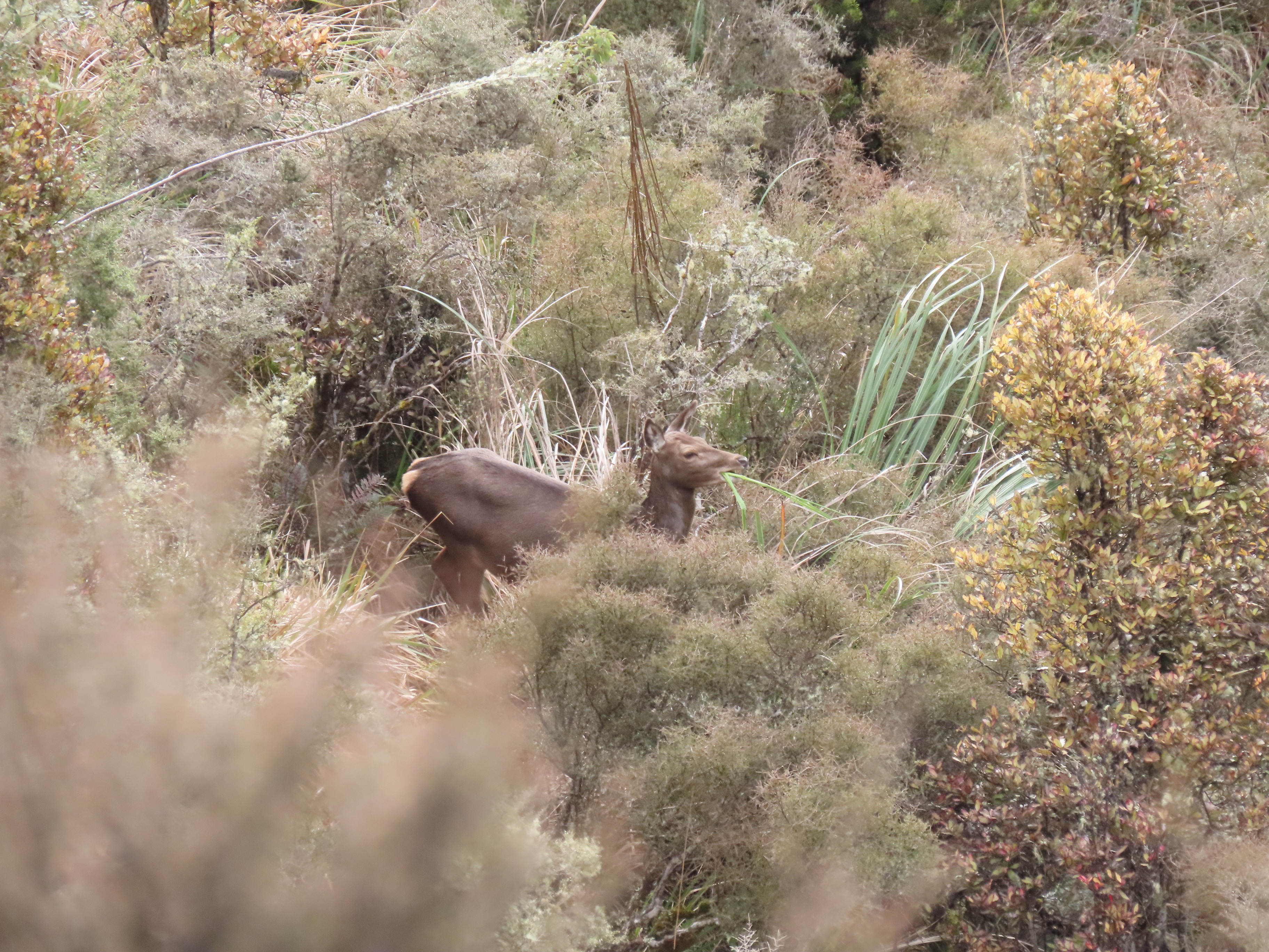 Name:  IMG_0349.JPG
Views: 693
Size:  3.25 MB